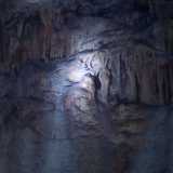 Speleotema della testa di un elefante